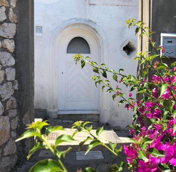 تختخواب و صبحانه Casa Maddy Suites Capri