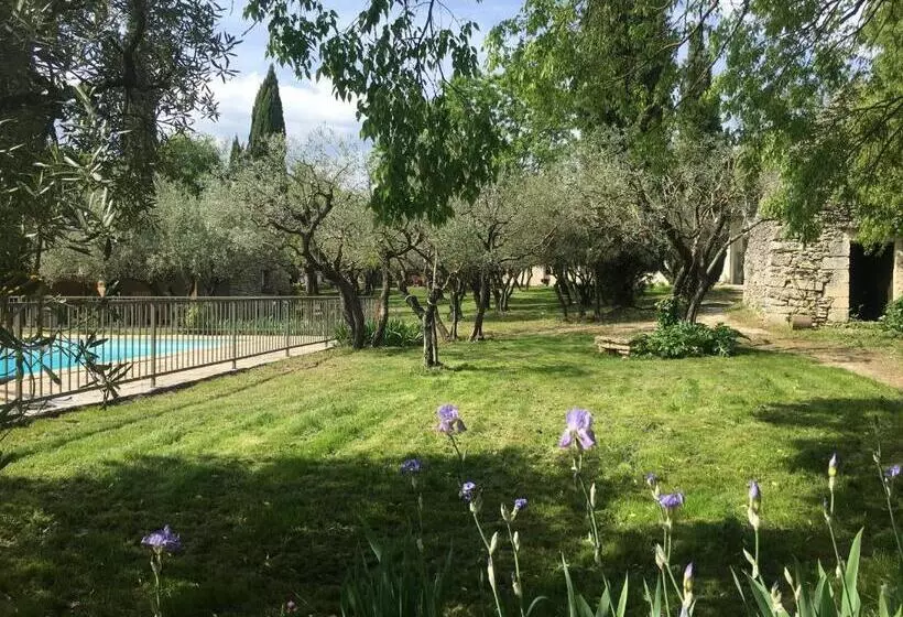 ベッドアンドブレックファースト Les Olivettes Le Mazet