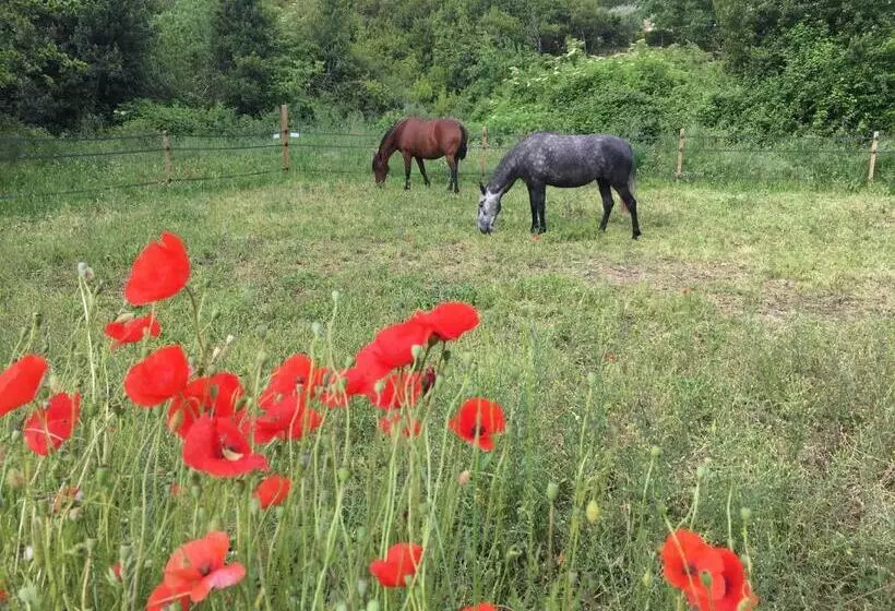 ベッドアンドブレックファースト Les Olivettes Le Mazet