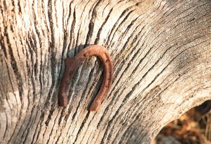 فندق Agriturismo Cerqueto