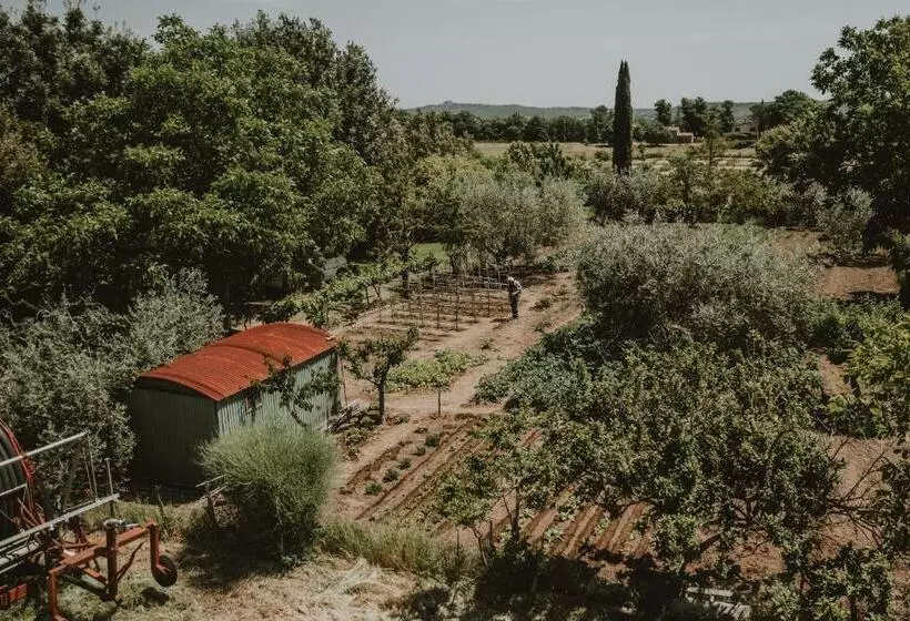 ホテル Agriturismo Cerqueto