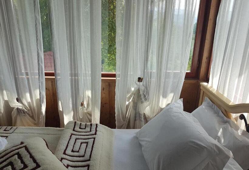 بنسيون вила поликсения петиня