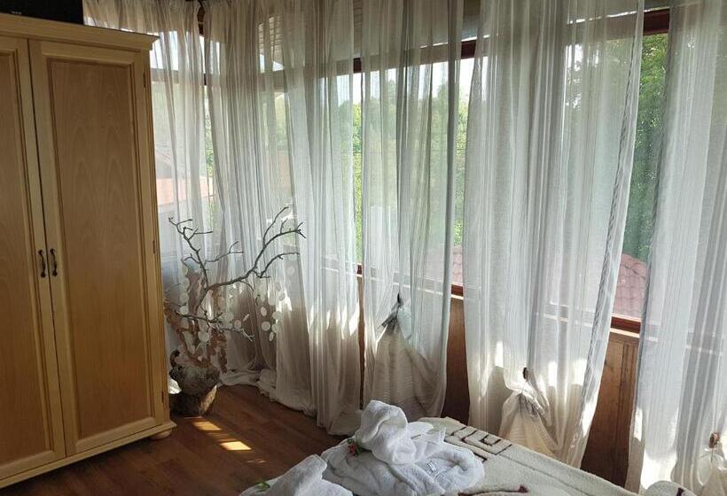 بنسيون вила поликсения петиня