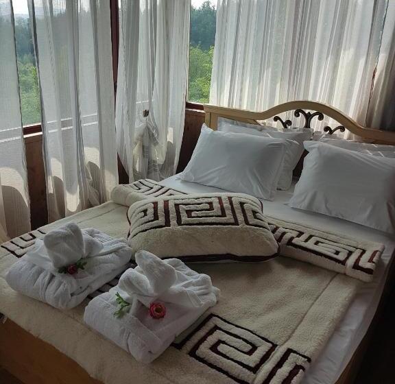 بنسيون вила поликсения петиня