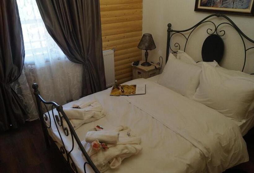 بنسيون вила поликсения петиня