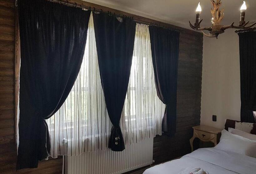 بنسيون вила поликсения петиня