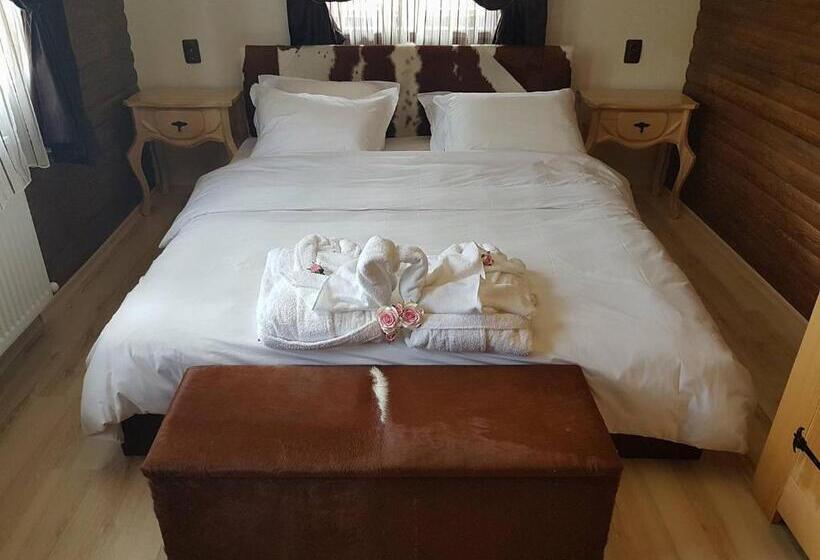 بنسيون вила поликсения петиня