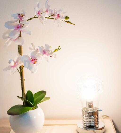 پانسیون Gabrielli Rooms & Apartments   Fiera