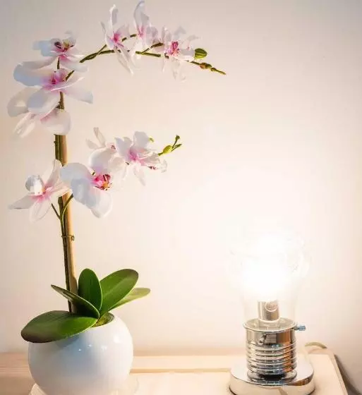 پانسیون Gabrielli Rooms & Apartments   Fiera