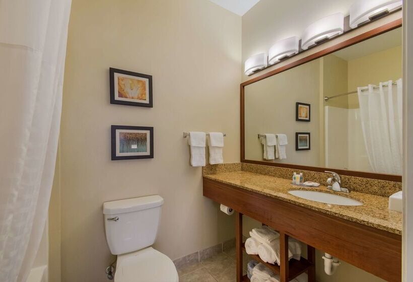 Отель Comfort Inn & Suites Barnesville   Frackville