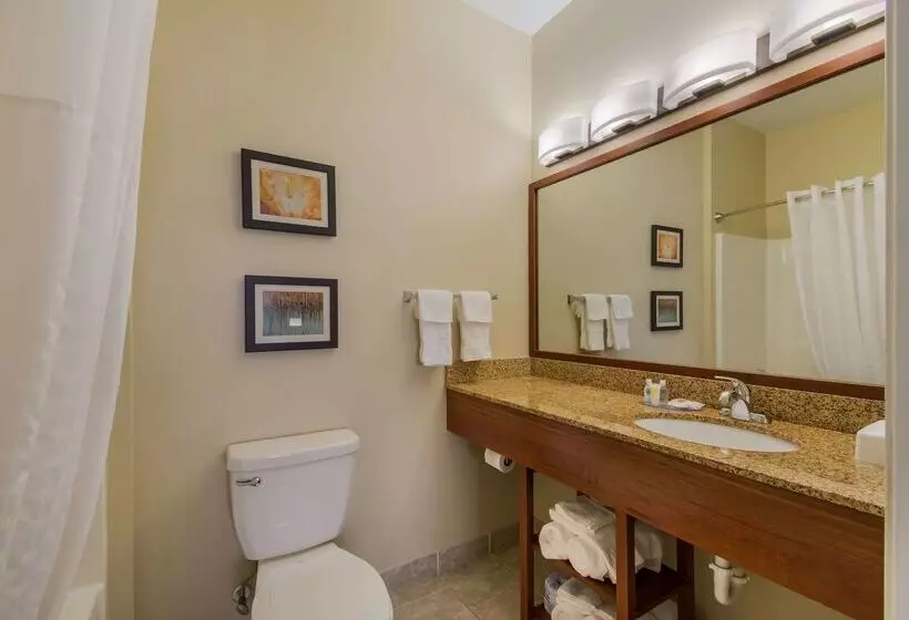 酒店 Comfort Inn & Suites Barnesville   Frackville