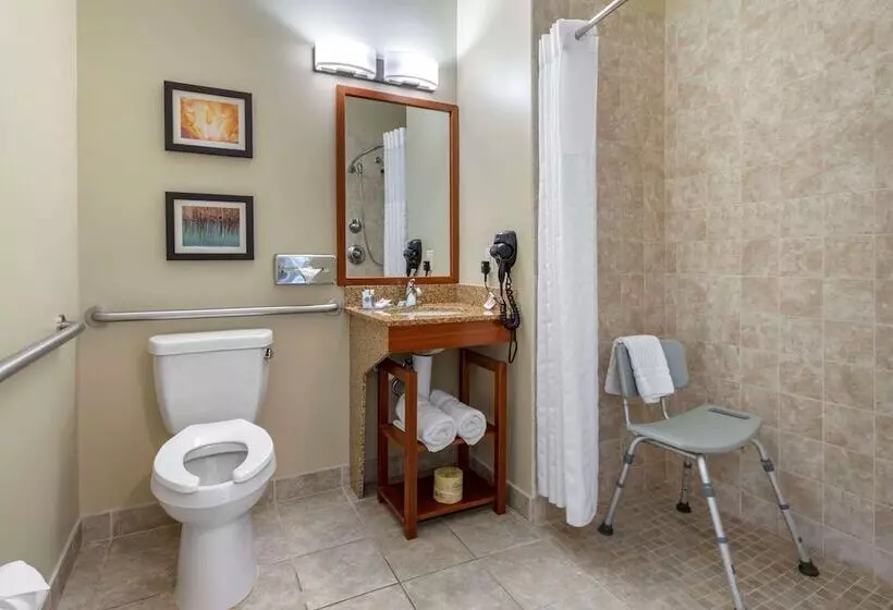 酒店 Comfort Inn & Suites Barnesville   Frackville