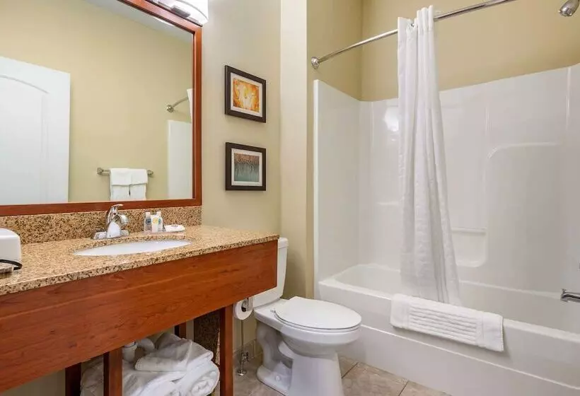 酒店 Comfort Inn & Suites Barnesville   Frackville