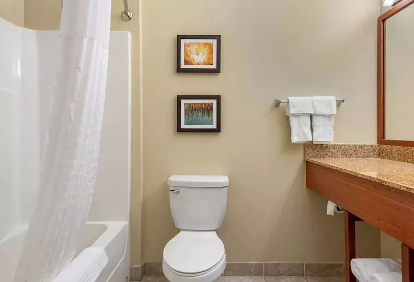 酒店 Comfort Inn & Suites Barnesville   Frackville