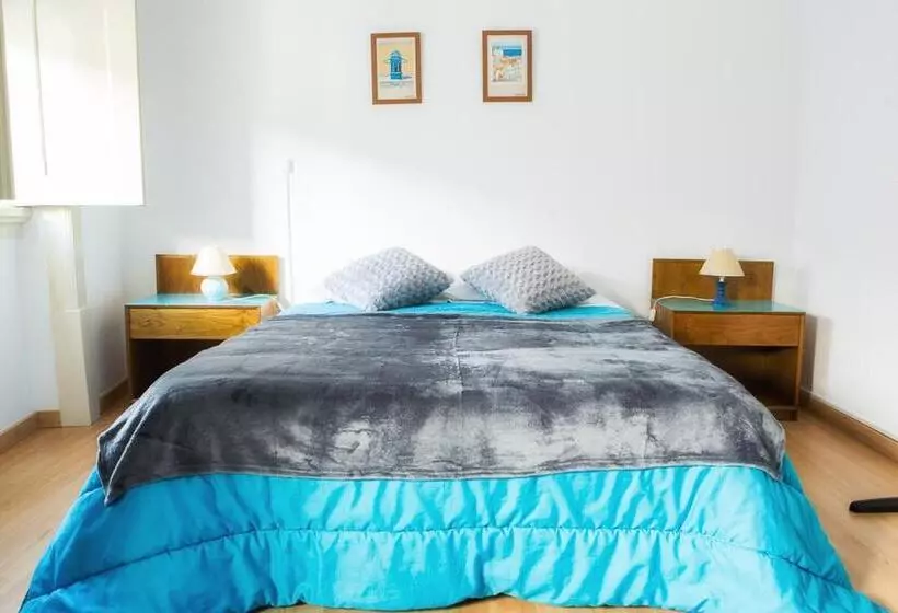 هاستل Olive Street House