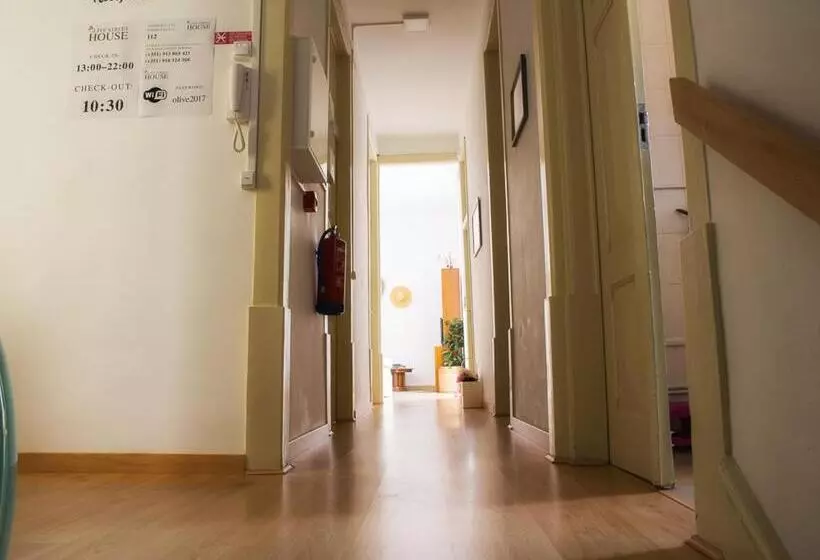 هاستل Olive Street House