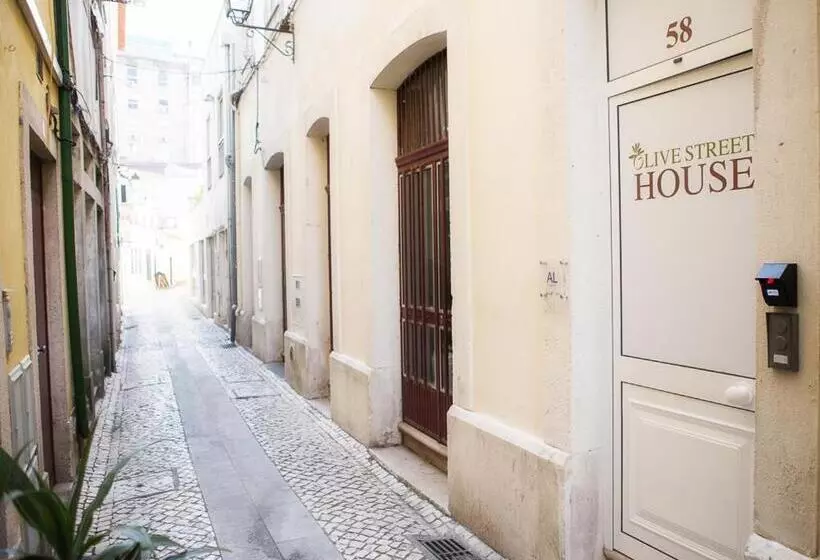 هاستل Olive Street House