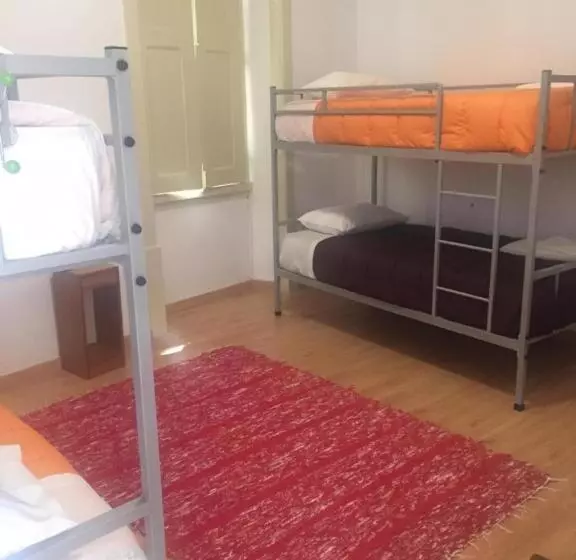 هاستل Olive Street House