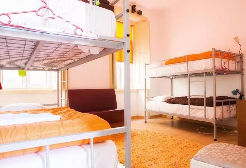 هاستل Olive Street House