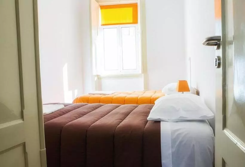 هاستل Olive Street House