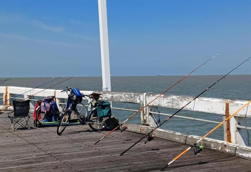 Appartement Blankenberge Zeedijk Aan De Pier