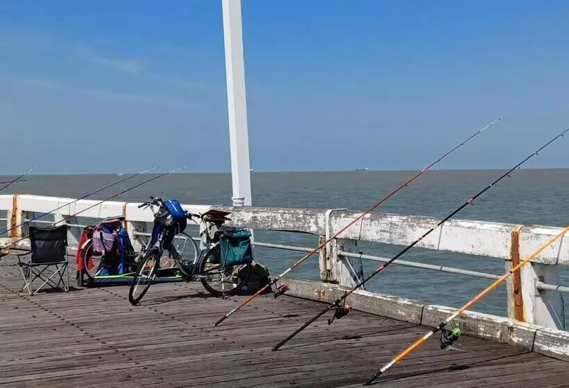 Appartement Blankenberge Zeedijk Aan De Pier