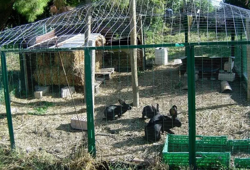 ホテル Agriturismo Galanti