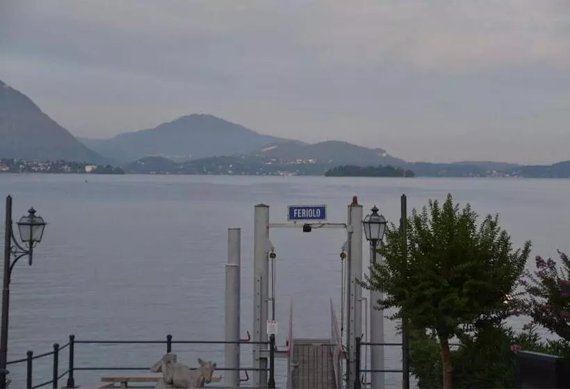 Lognomoelafatina