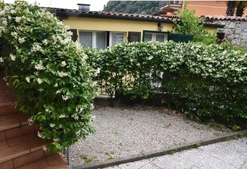 Lognomoelafatina