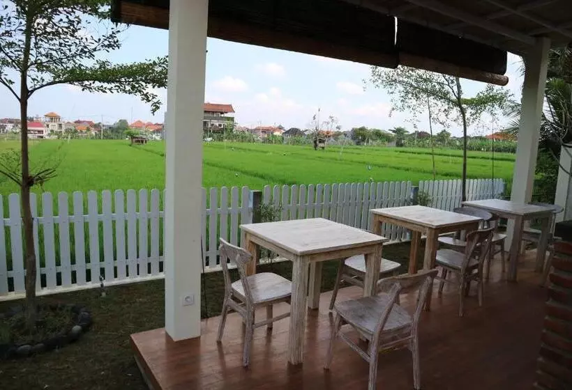 ペンション Delima Guest House