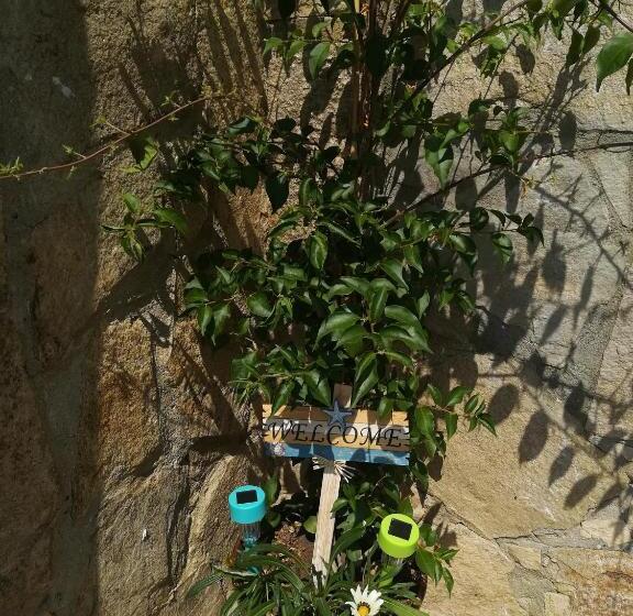 پانسیون Villa Holly