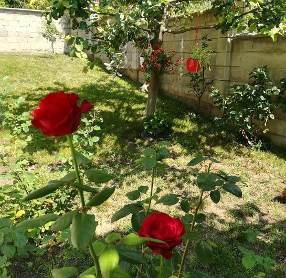 پانسیون Villa Holly