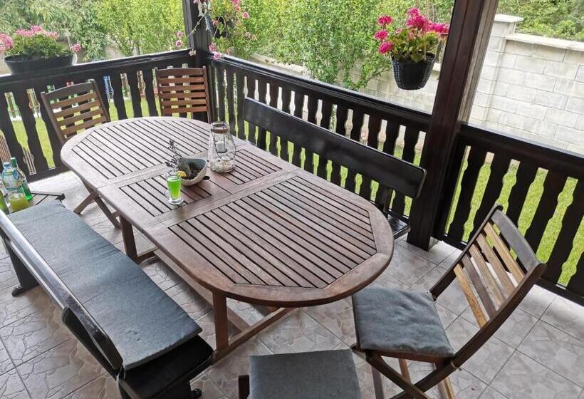 پانسیون Villa Holly