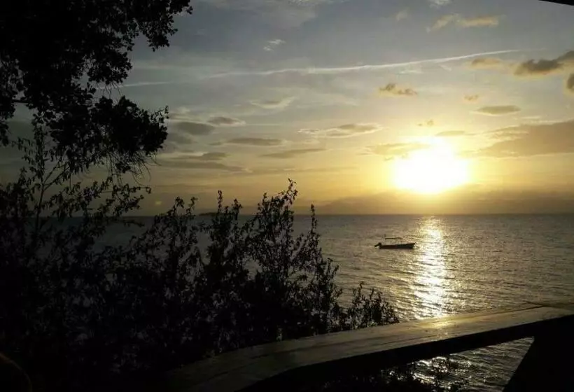 Pescador View   Beach Resort & Restaurant