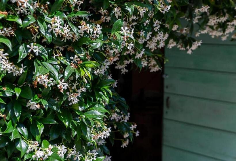 تختخواب و صبحانه Il Casale Di Villa Rossi