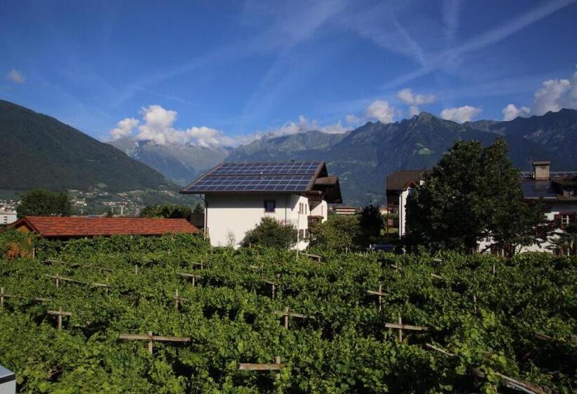 호텔 Pension Appartment Hecherhof