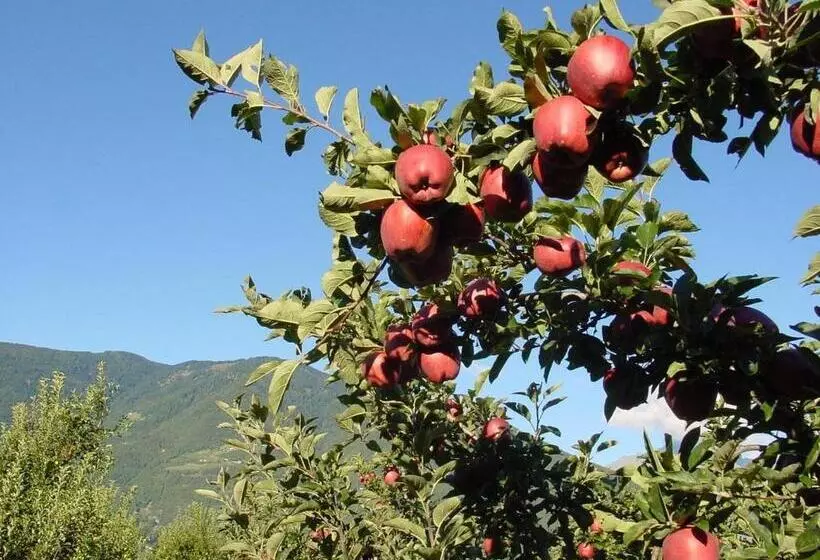 ホテル Pension Appartment Hecherhof