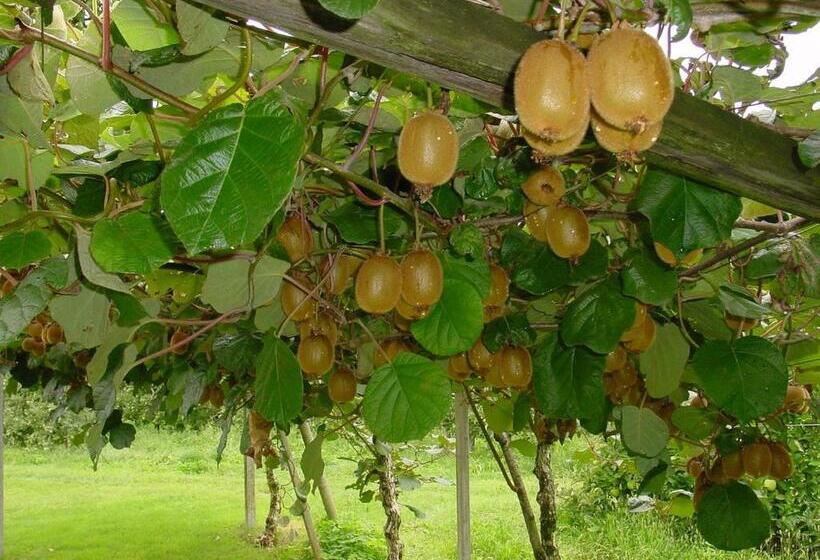 호텔 Pension Appartment Hecherhof