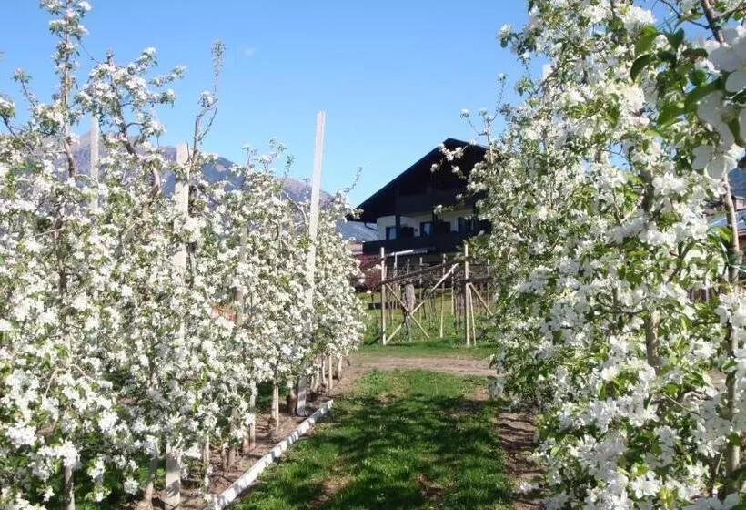 ホテル Pension Appartment Hecherhof