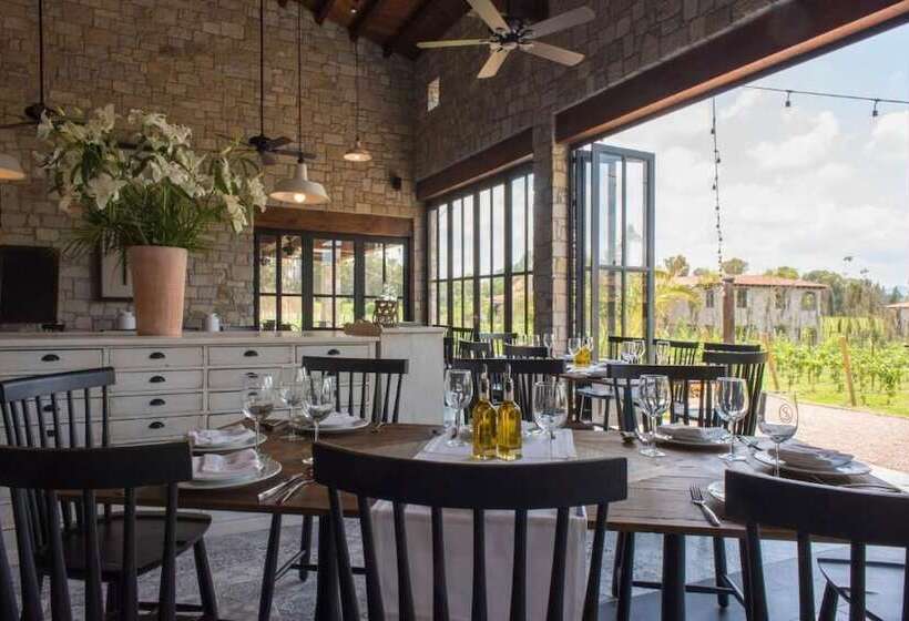 هتل Viñedos San Lucas