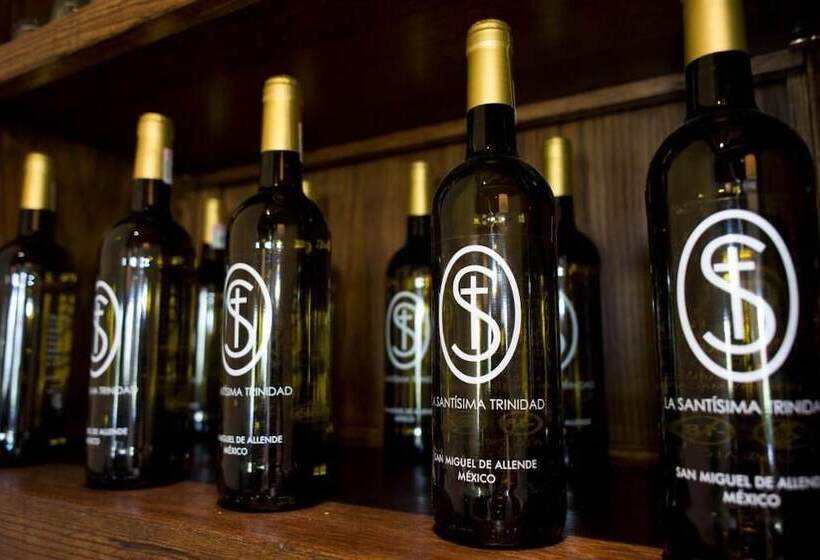 هتل Viñedos San Lucas