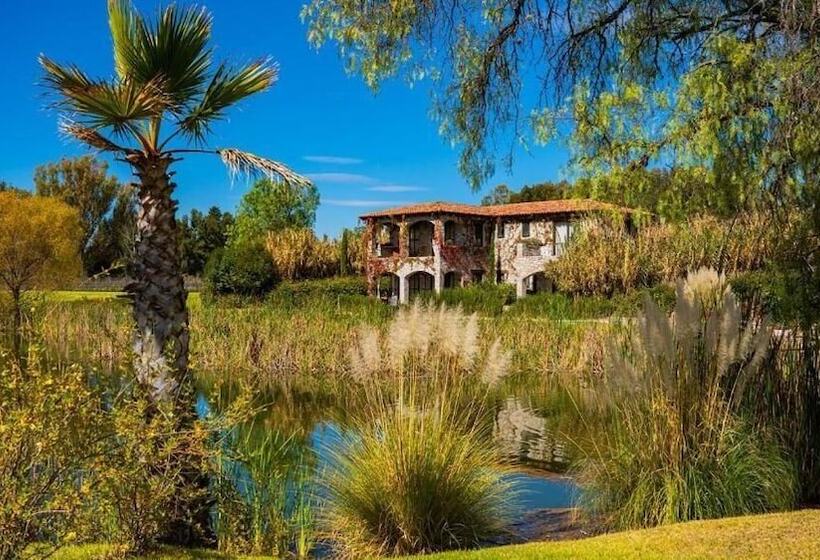 هتل Viñedos San Lucas