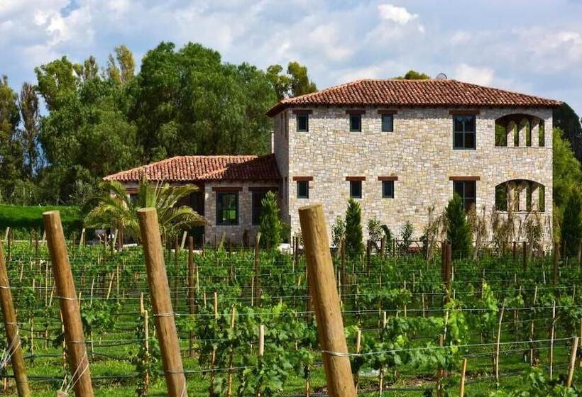 هتل Viñedos San Lucas