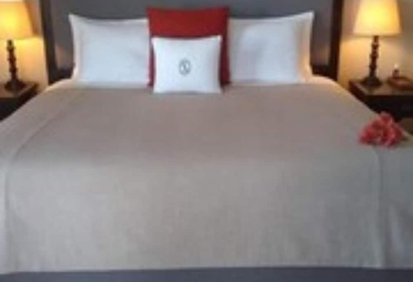 هتل Viñedos San Lucas