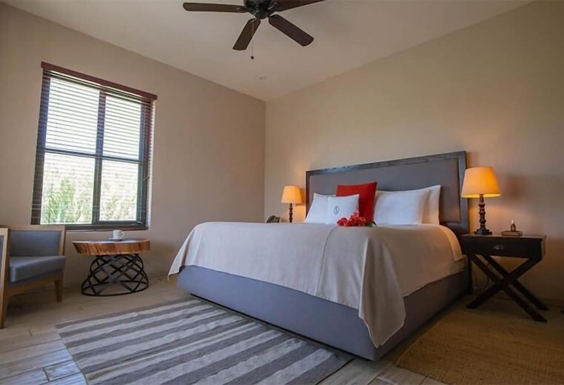 هتل Viñedos San Lucas