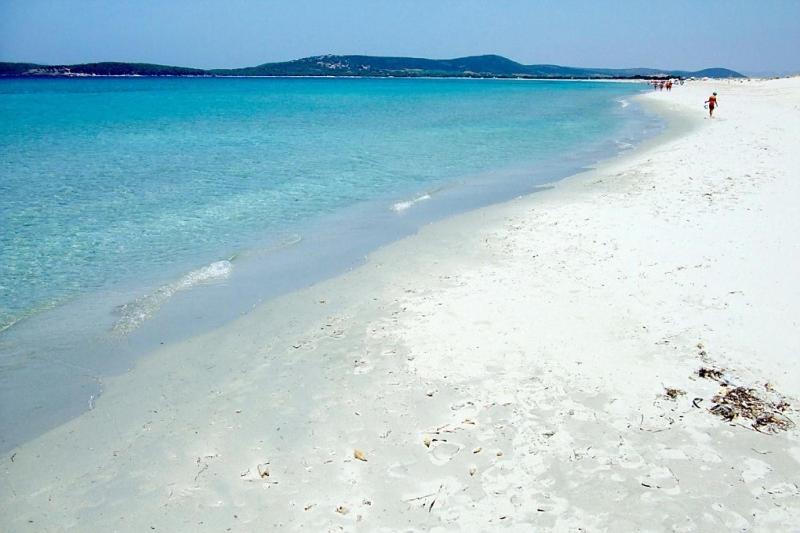 膳宿费 Affittacamere La Medusa