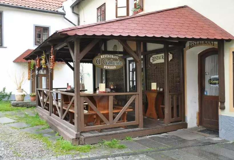 Pension U Galerie