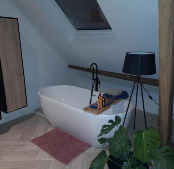 Suite City Center In Quiet Street & Airco