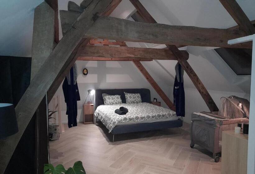 Suite City Center In Quiet Street & Airco