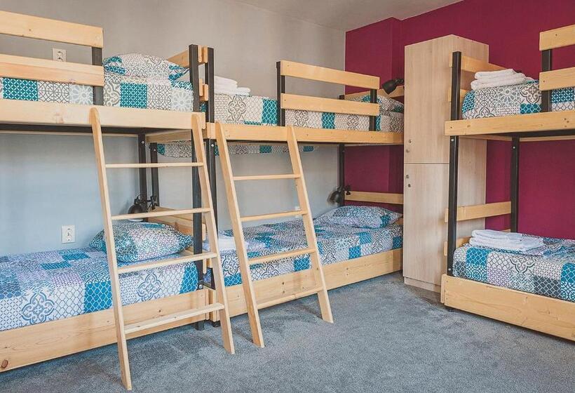 호스텔 Temple House